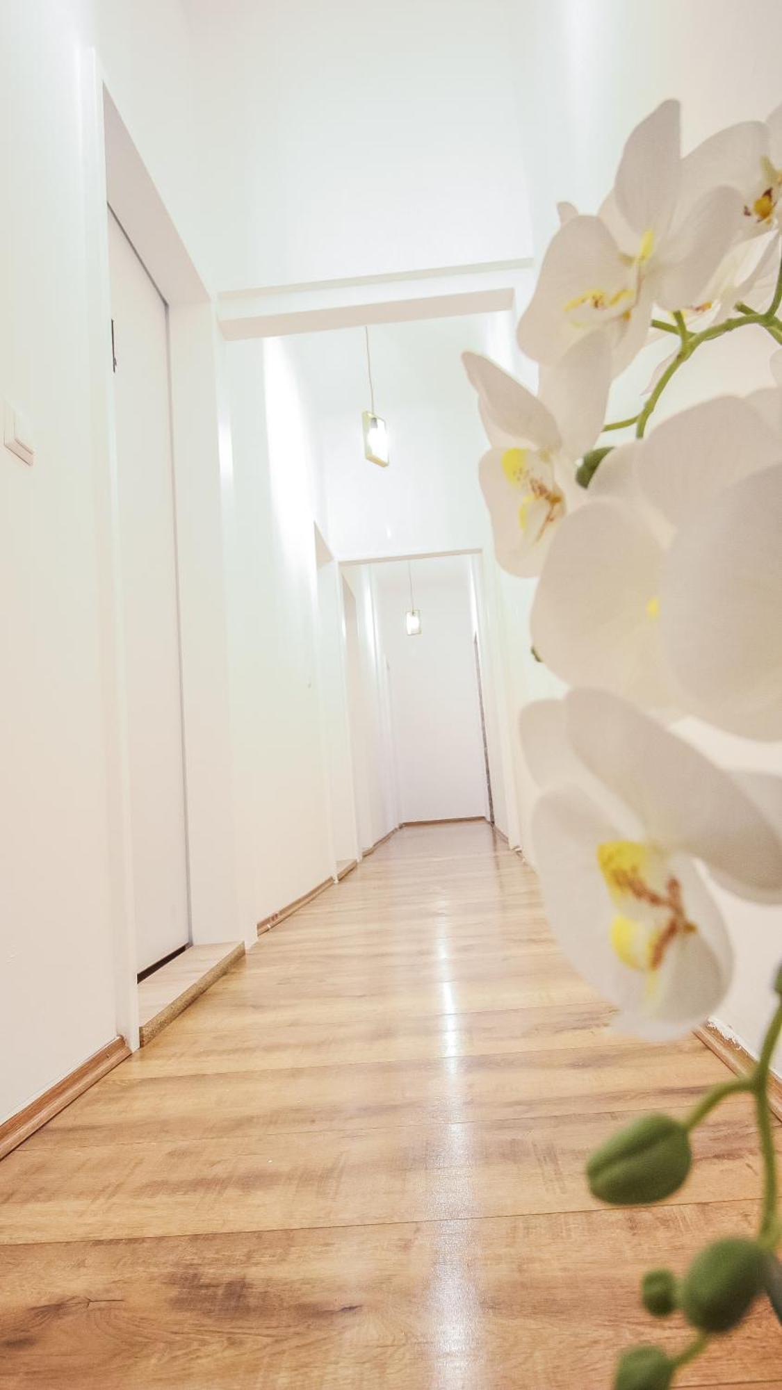 Comfortable Accommodations In The Alterlaa Area Lv6 Viena Exterior foto